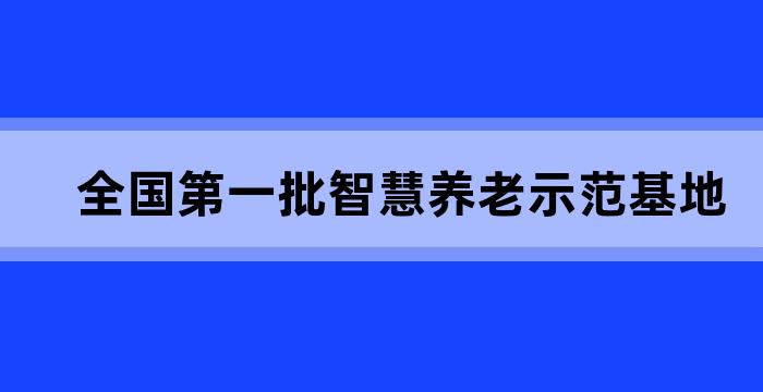 全国第一批智慧养老示范基地