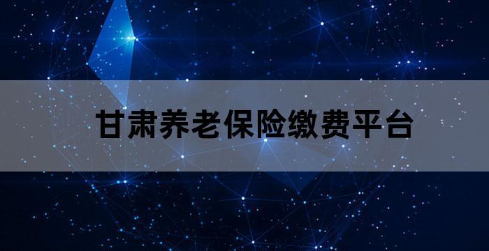 甘肃养老保险缴费平台