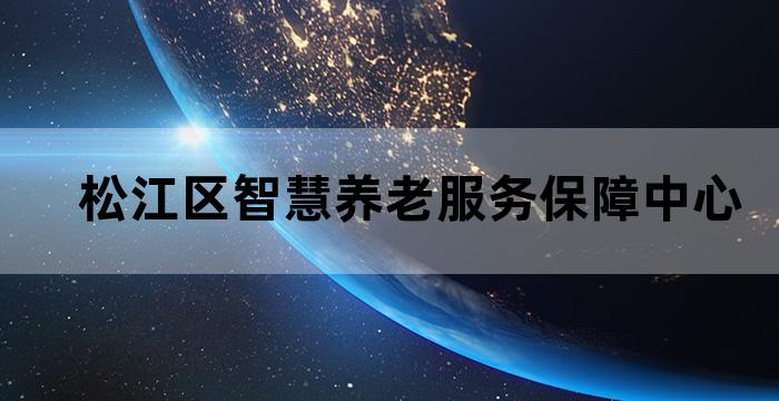 松江区智慧养老服务保障中心