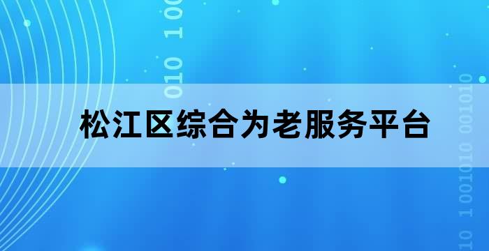 松江区综合为老服务平台