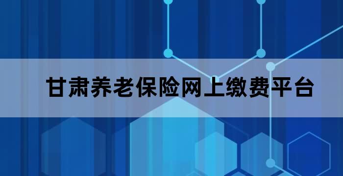 甘肃养老保险网上缴费平台