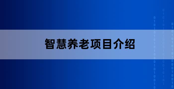 智慧养老项目介绍